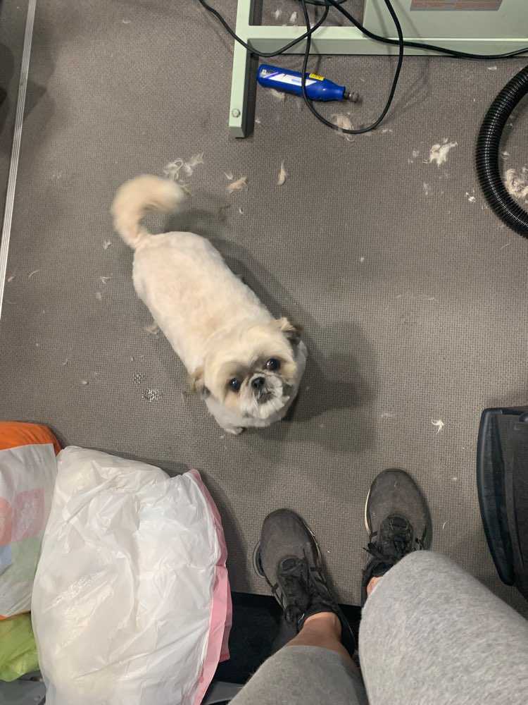 Musya