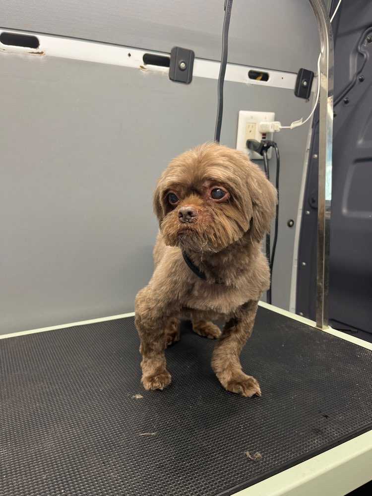 Dakota