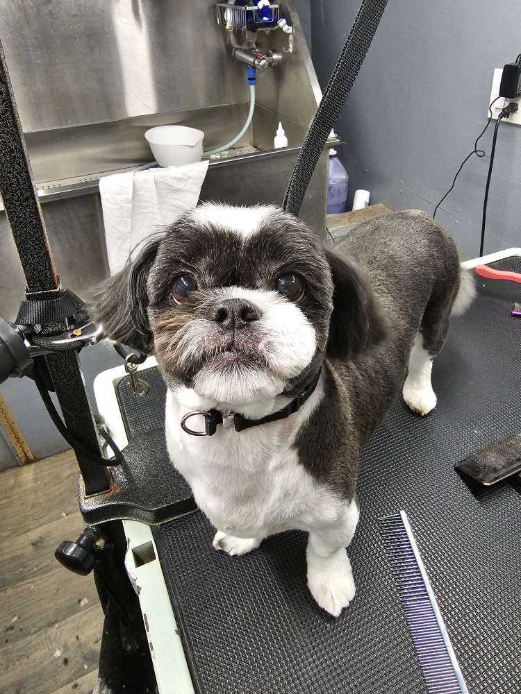 Charlie