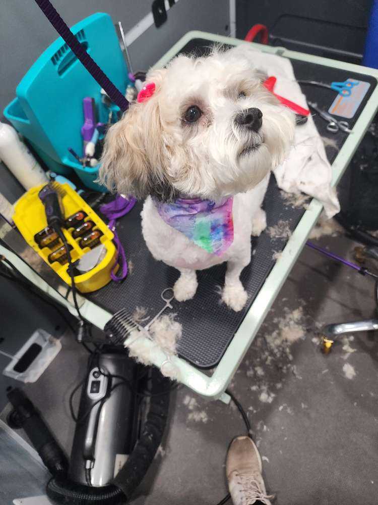 Sophie Bella 