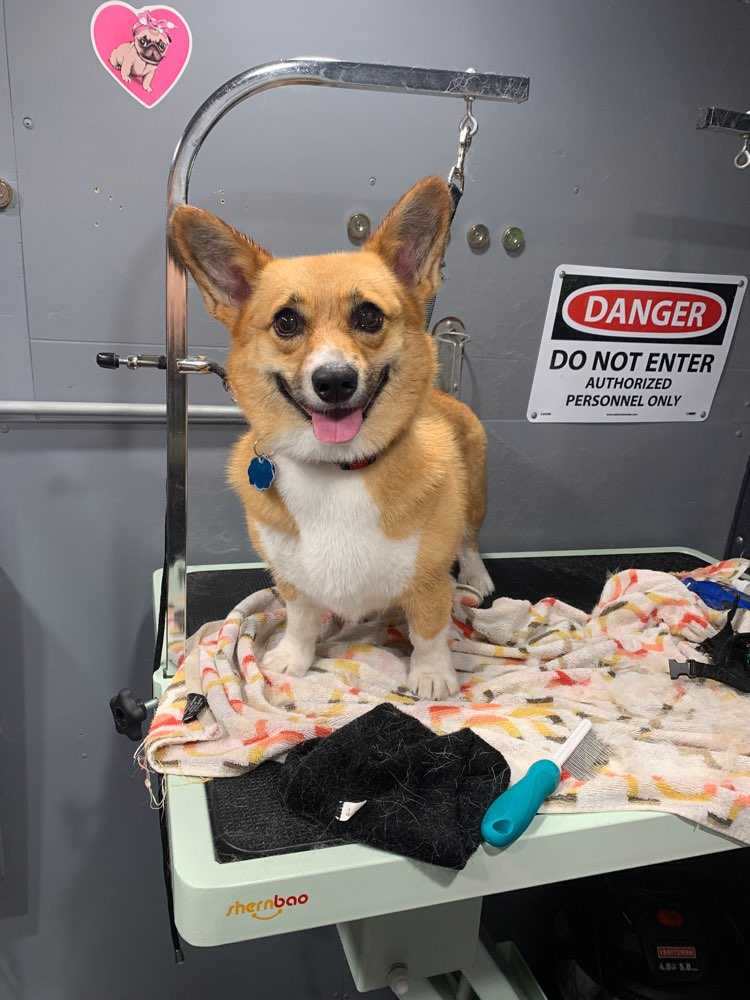 Coco