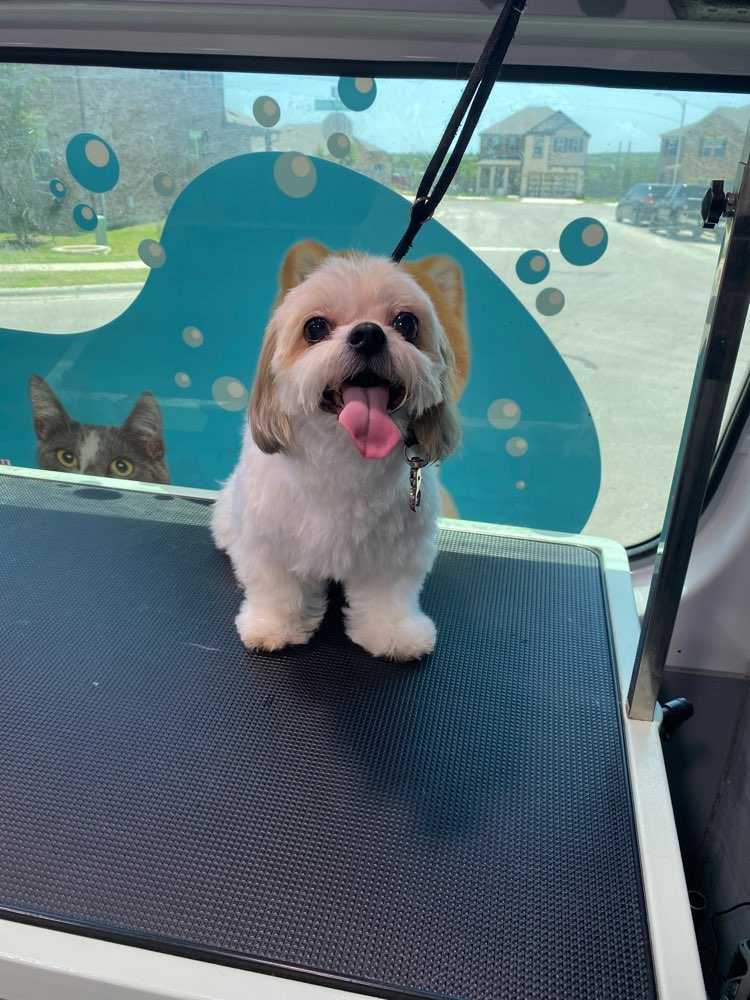 Rupert