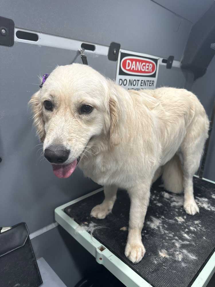 Maggie
