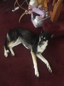 Asia