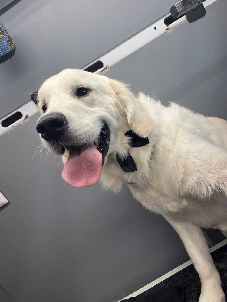 Finley Schulz