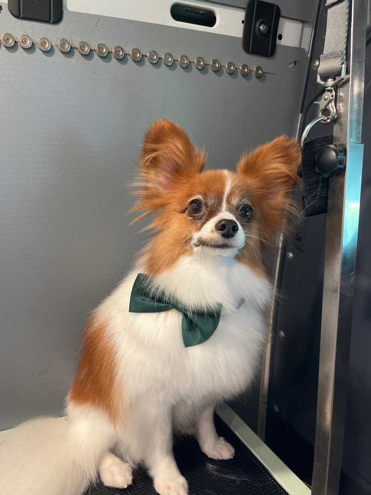 Charlie