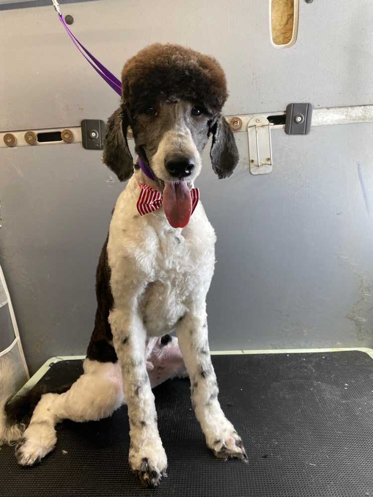 Max