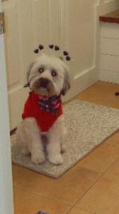 Rueben