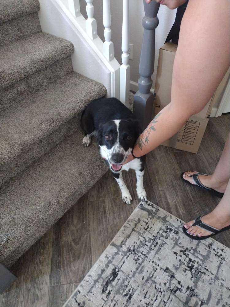 Millie
