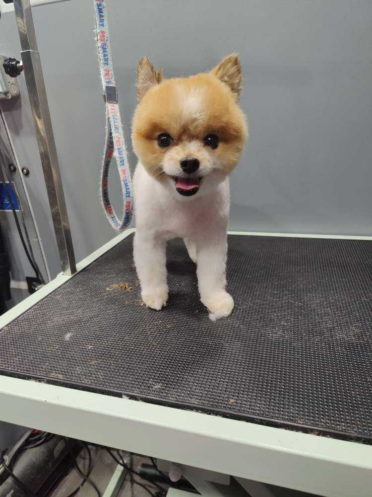Koko