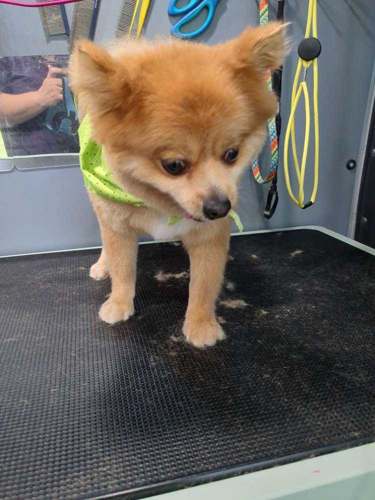 Peanut