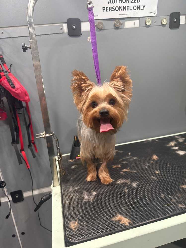 Jerry