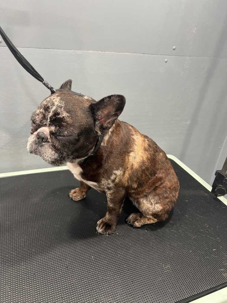 Ellie