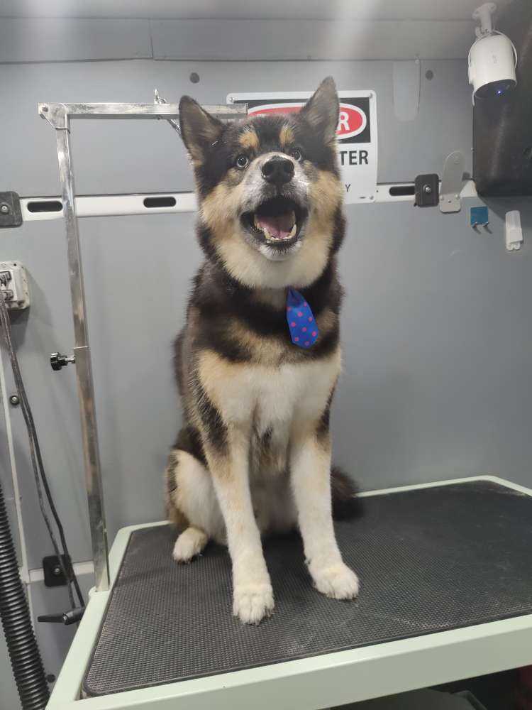 Blu