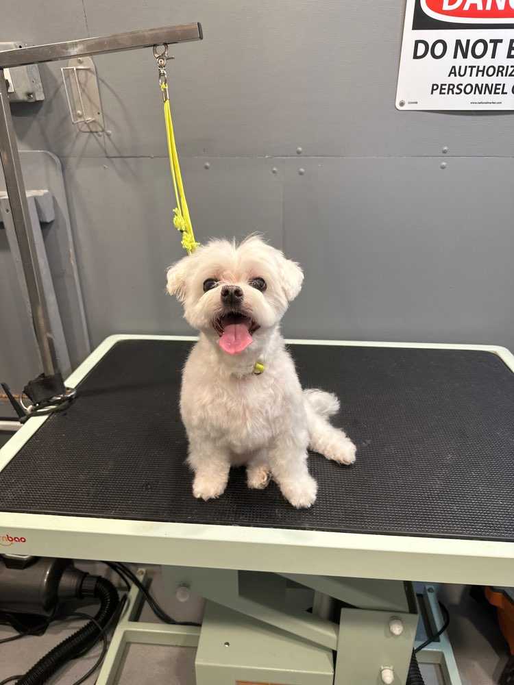 Charlie