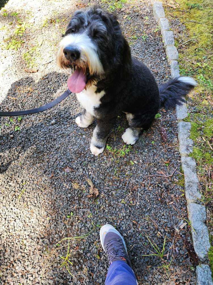 Max