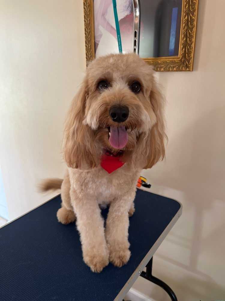 Penny