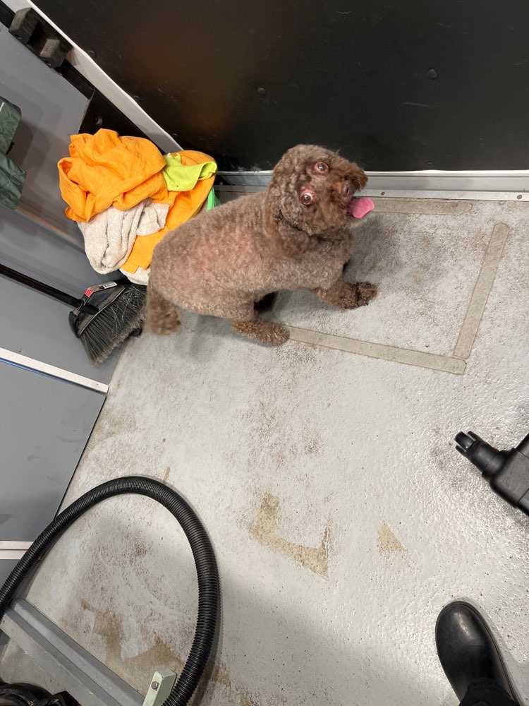 Coco