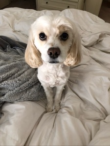 Quincy
