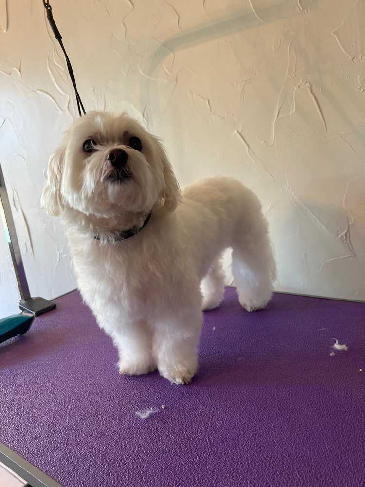 Bailey
