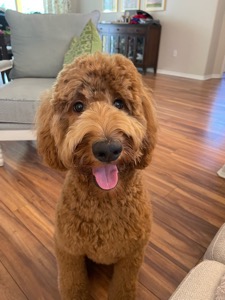 Howie