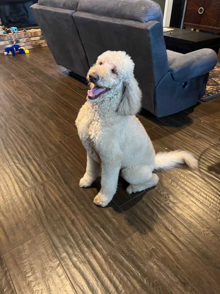 Lenny