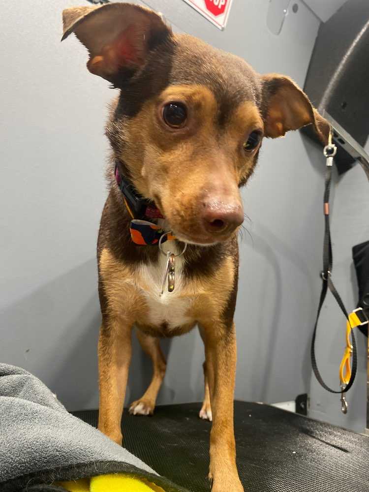 Zoey