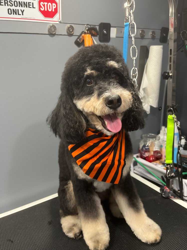 Luca