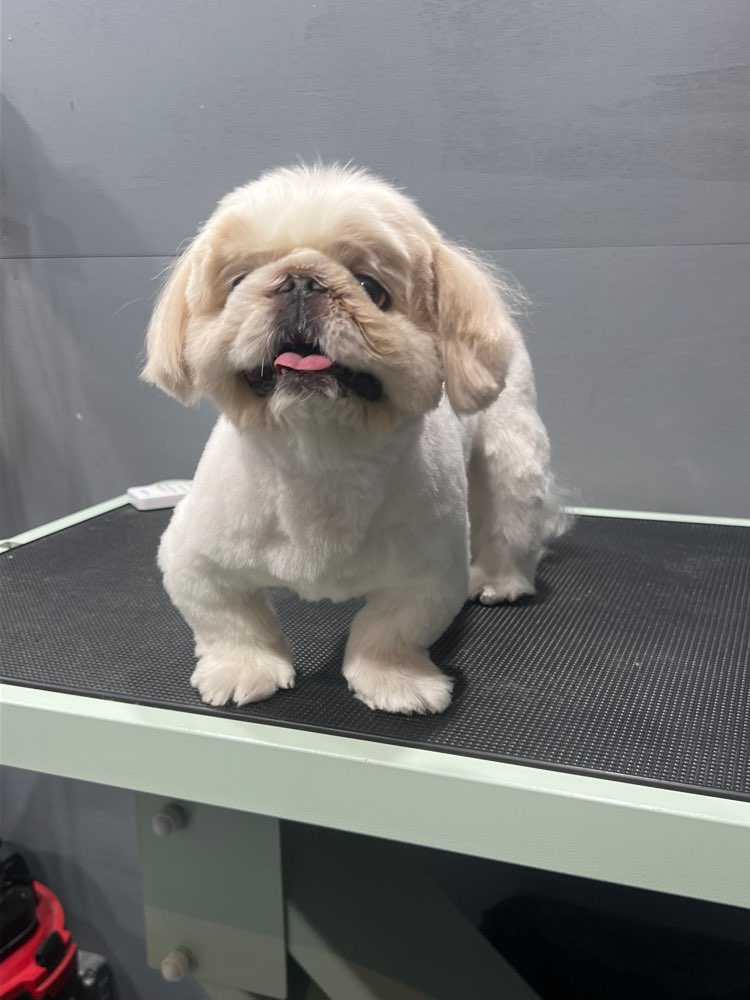 Poohbear