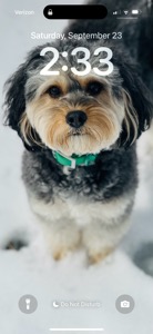 Pet