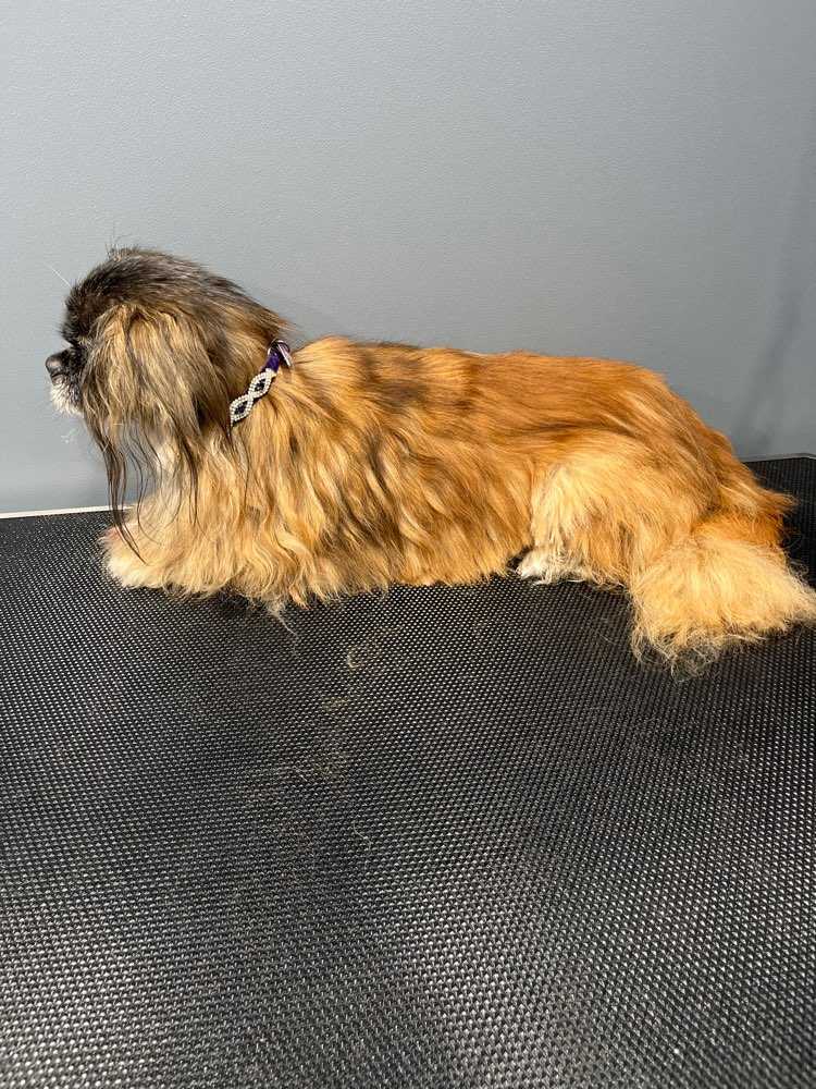 Lulu