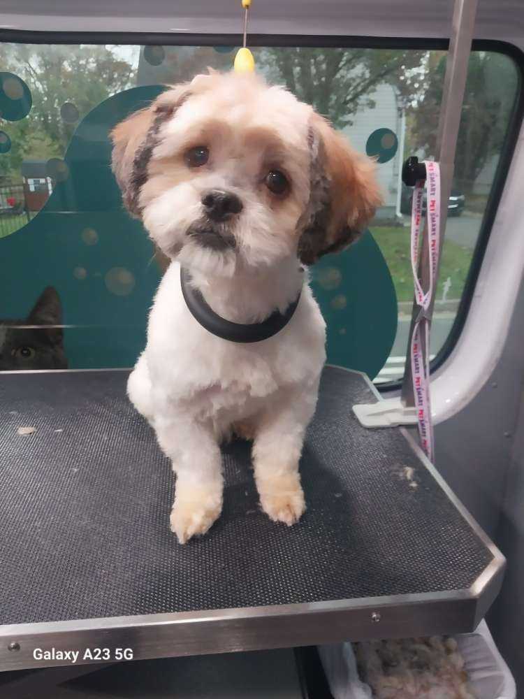 Skye