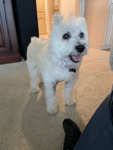Walter