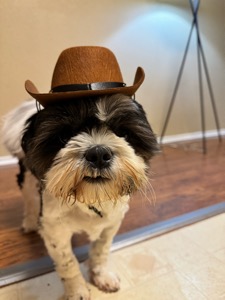 Booboo Baker