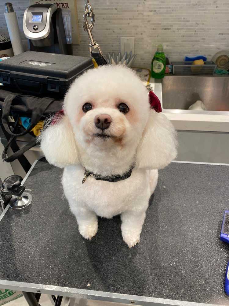 Chloe