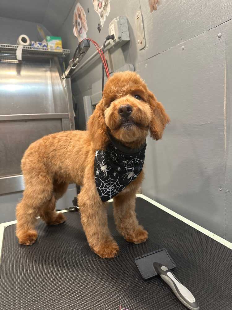 ella