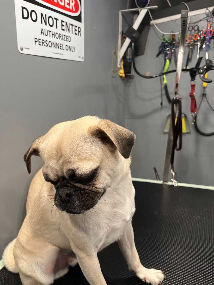 Paco
