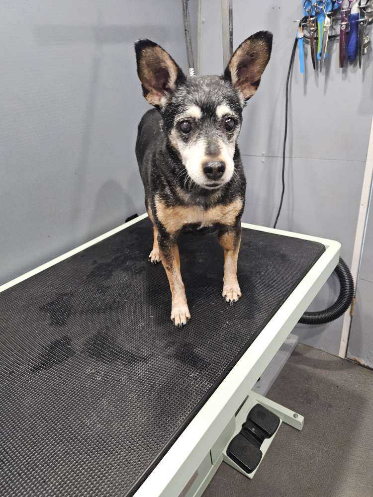 Roscoe