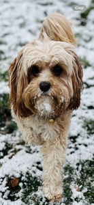 Maddie