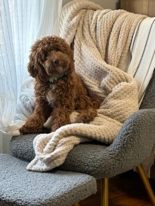 Winnie 