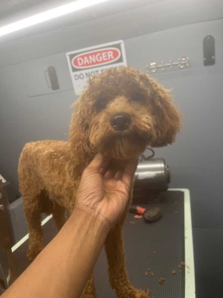 Milo