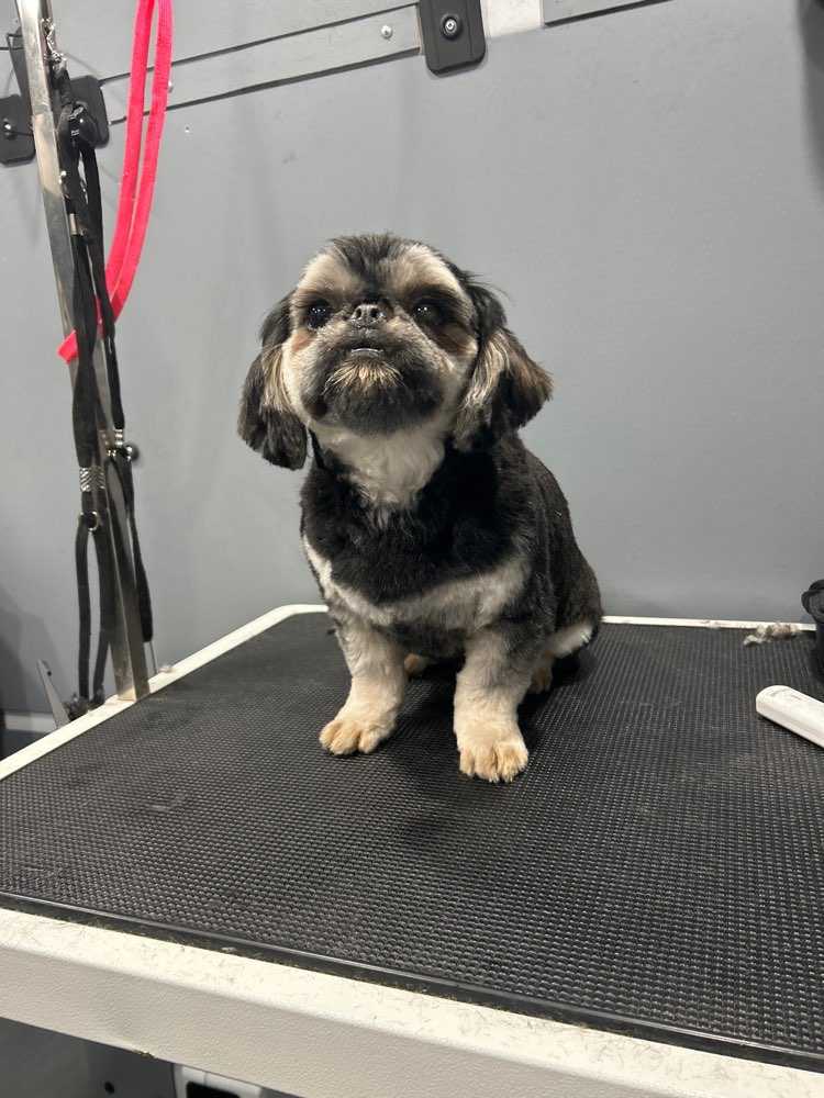 Rocky