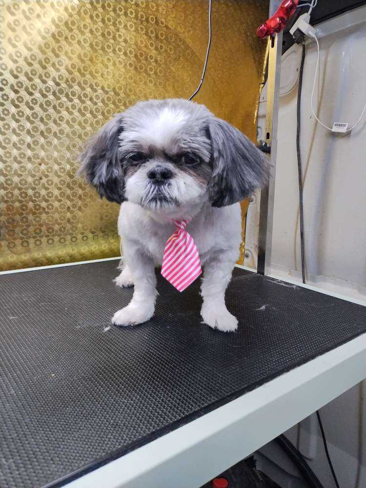Mia