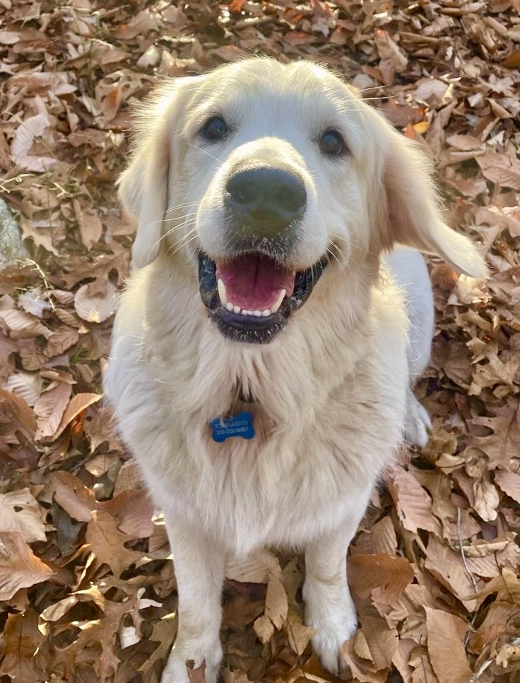 Payton