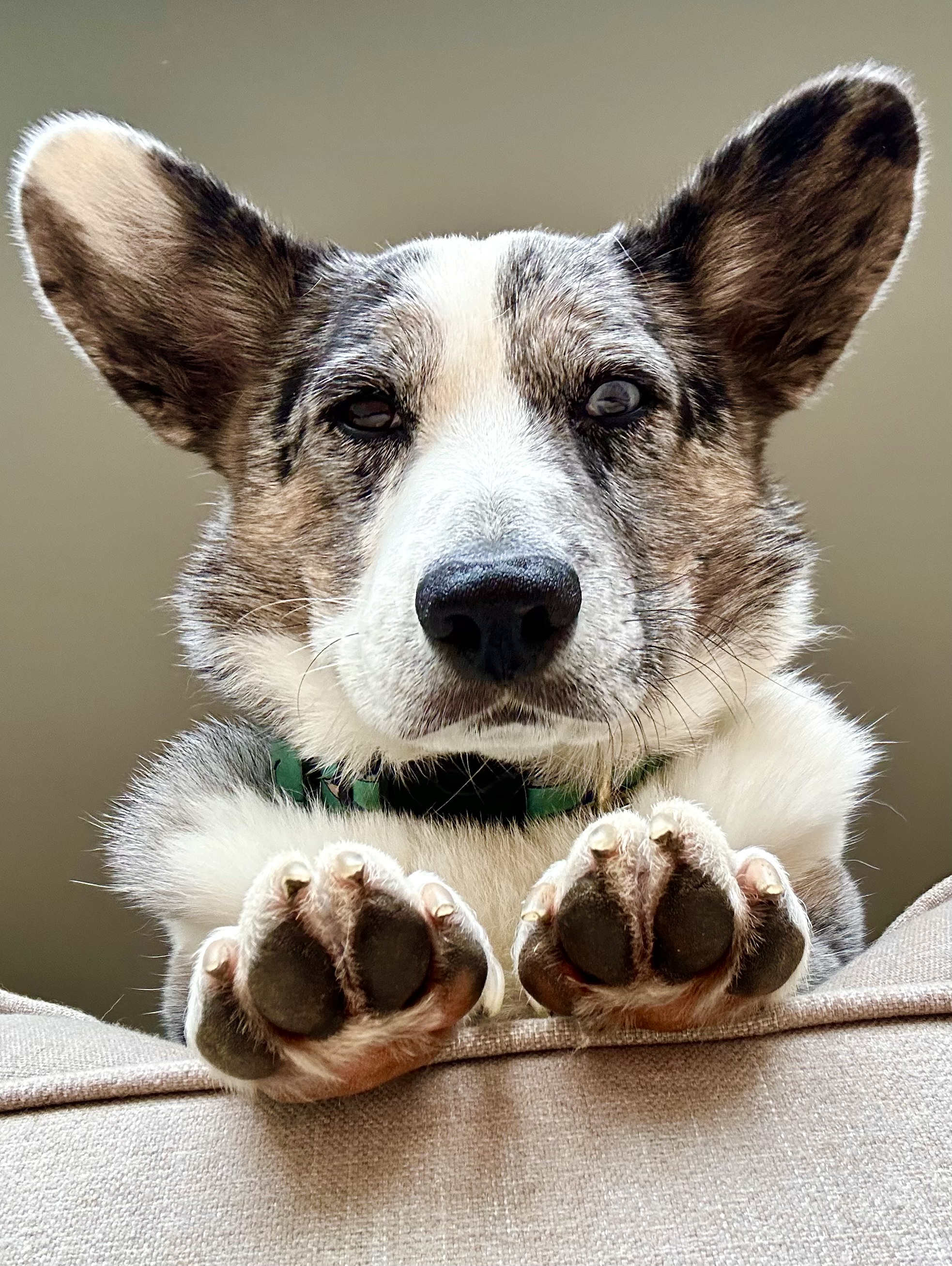 Walter