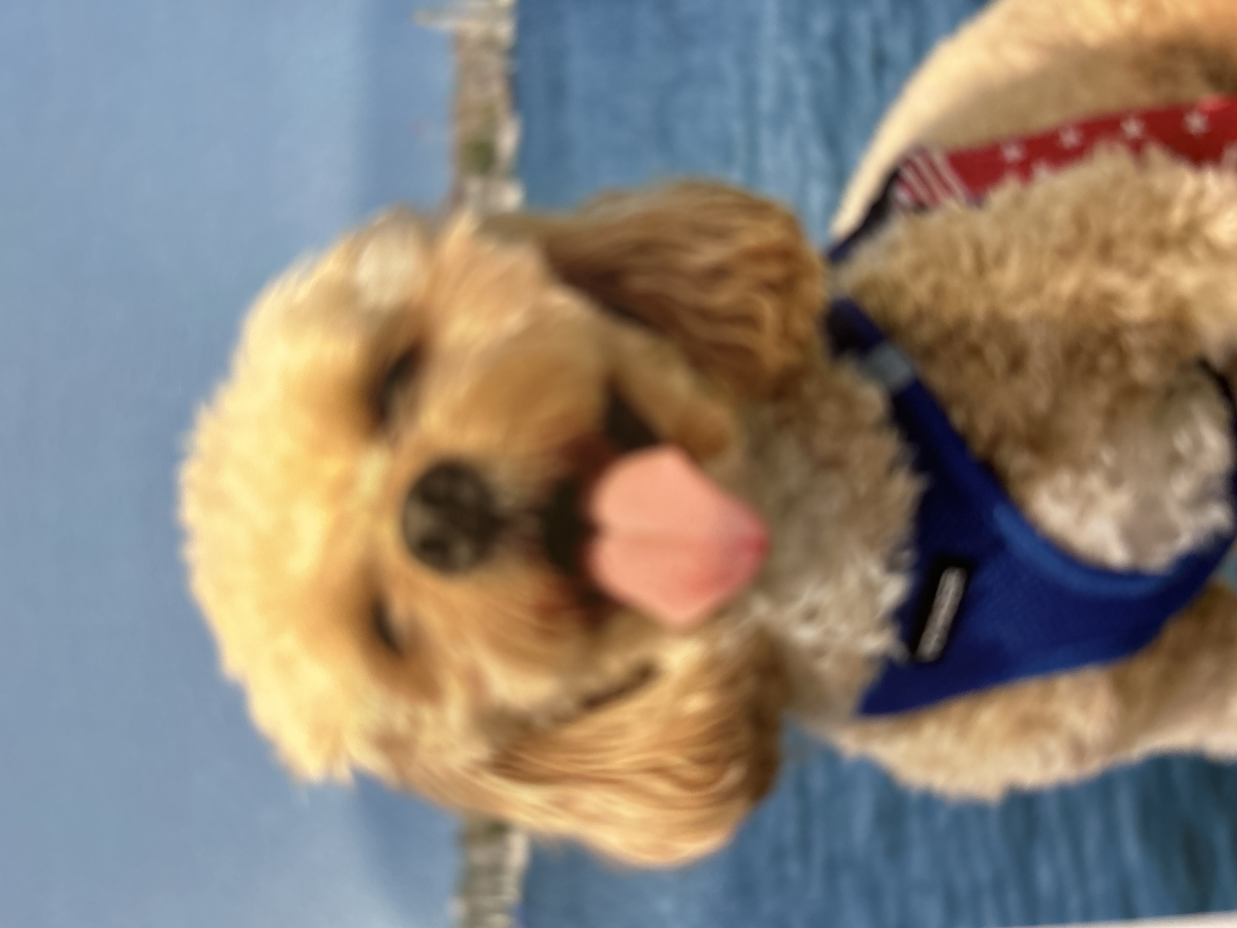 Alan