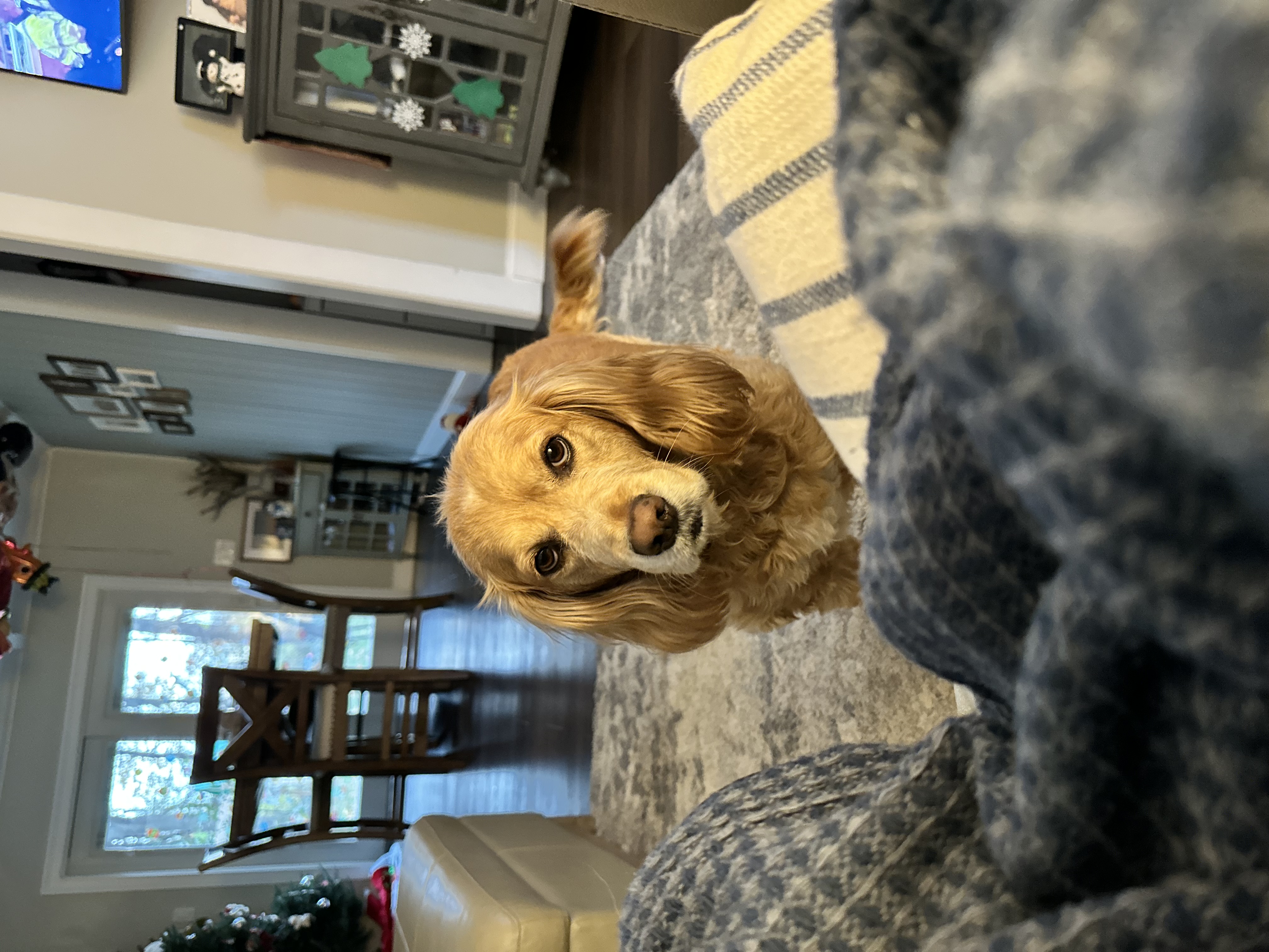 Butters