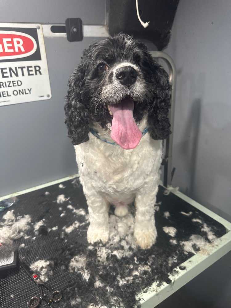 Rudy