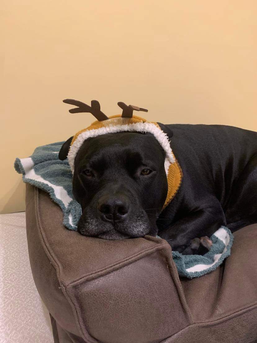 Tyson