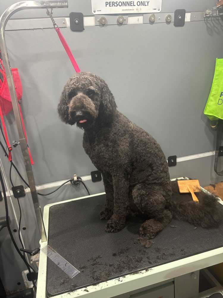 Bama